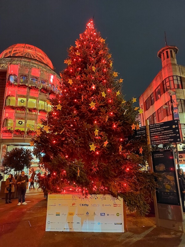 A big Christmas tree in the city centre