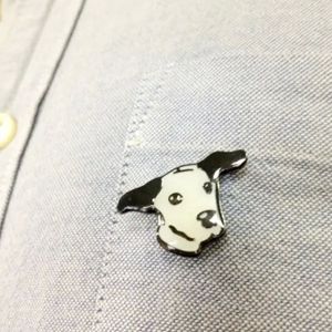 Lapel pins