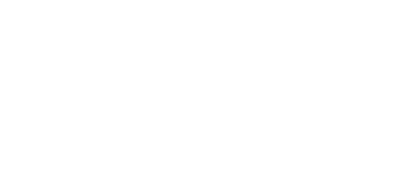 Focus Ireland